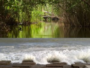 Kolkata, Digha & Sundarbans